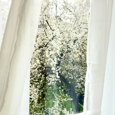 Narcis Nest Appartamento